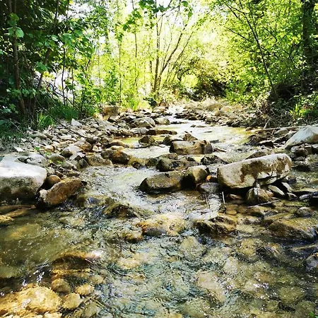 Bed & Breakfast L'etang De La Tourne *