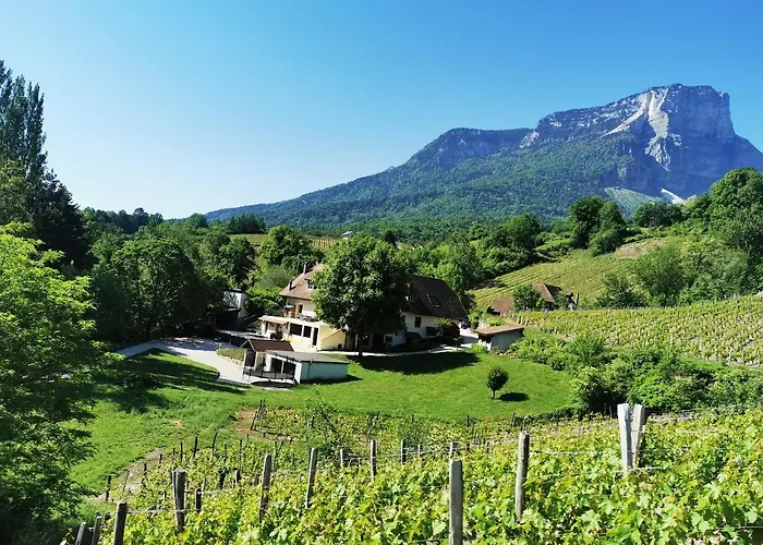L'étang De La Tourne