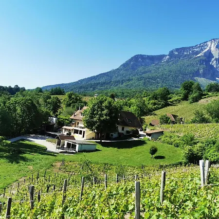 L'etang De La Tourne