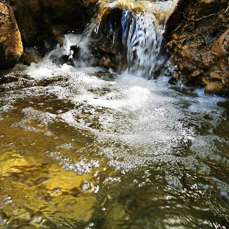 Alojamento de Acomodação e Pequeno-almoço L'etang De La Tourne Les Marches
