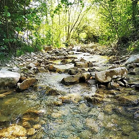 L'etang De La Tourne 3* Les Marches