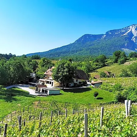 L'etang De La Tourne Bed & Breakfast