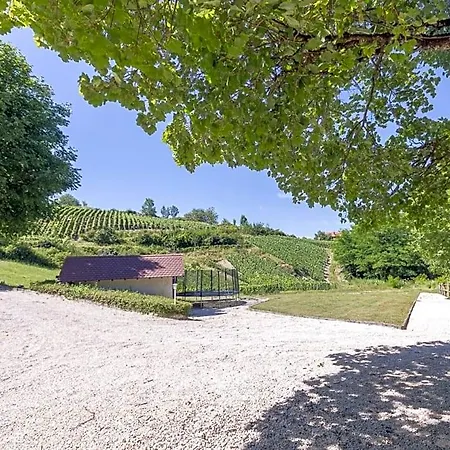 Bed & Breakfast L'etang De La Tourne